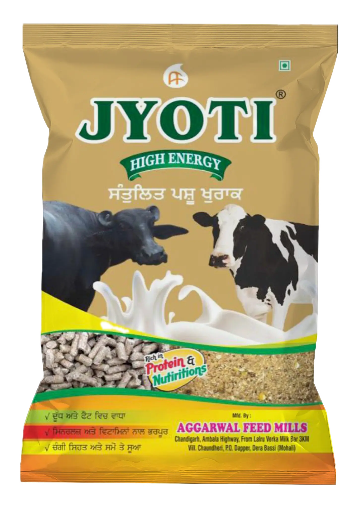 JYOTI 10000